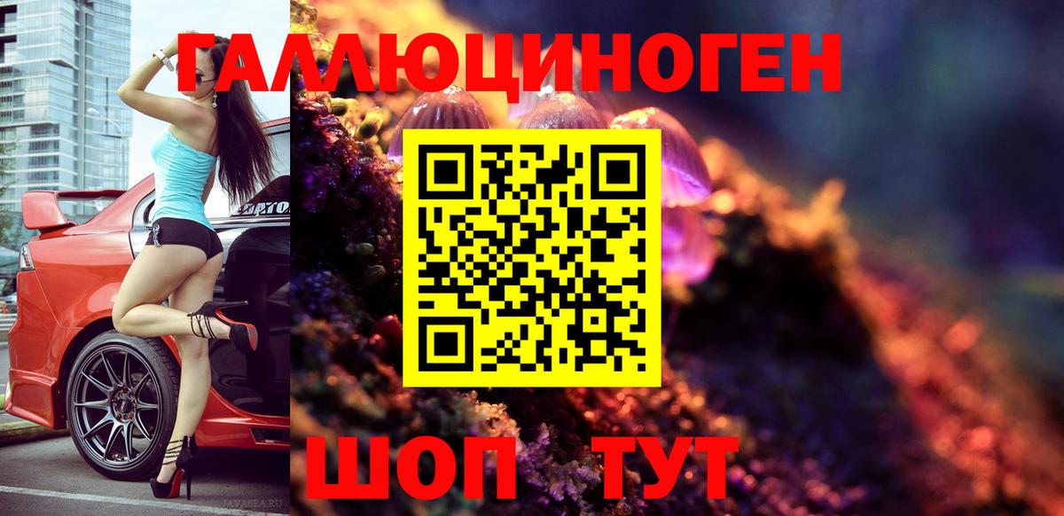 Псилоцибиновые грибы мицелий Мичуринск
